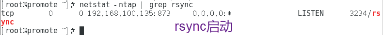 配置rsync+inotify 实时同步