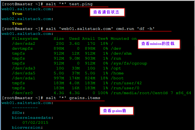 部署SaltStack及批量安装httpd服务