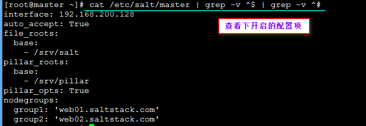 部署SaltStack及批量安装httpd服务