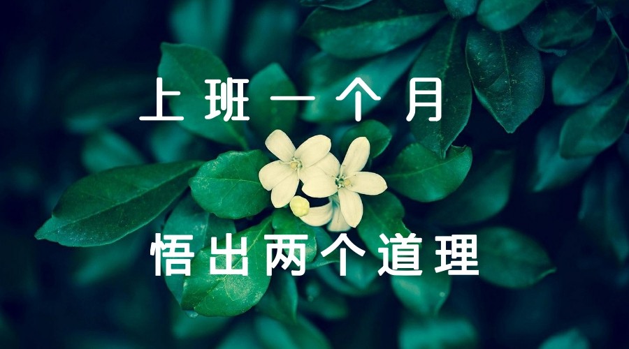 新公司上班一个月，我悟出了两个道理，不得不服