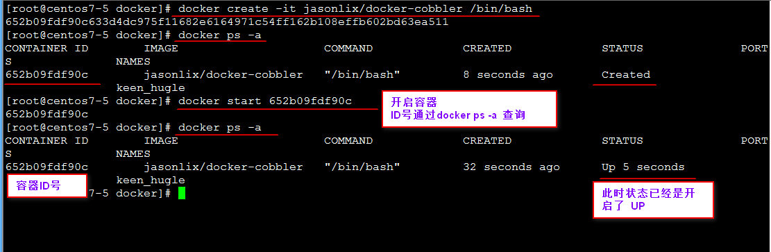 详解Docker架构、镜像、容器及资源限制