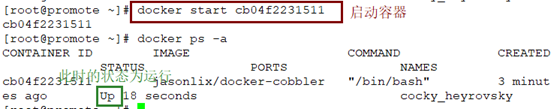 Docker架构，镜像及容器