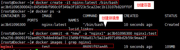 Docker的镜像创建及数据管理