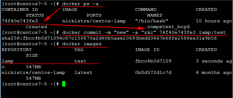 Docker镜像创建及建立私有仓库