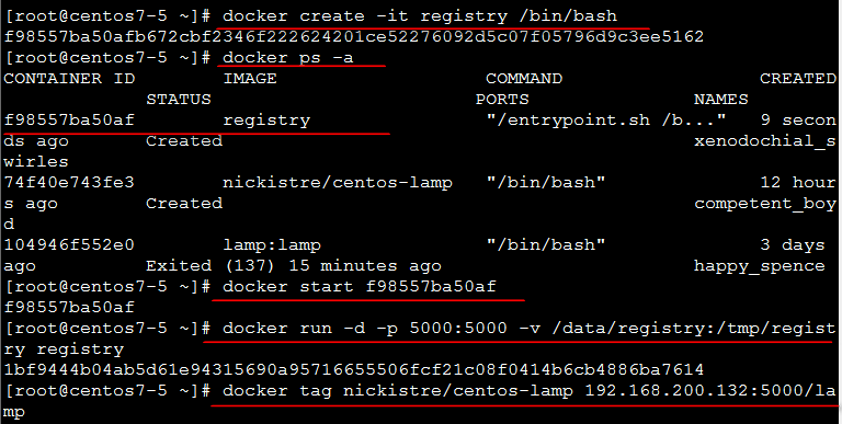 Docker镜像创建及建立私有仓库