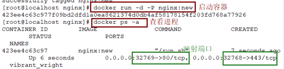 构建Docker镜像实战