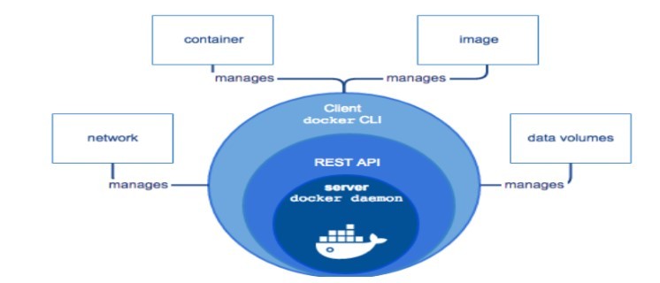 docker 的体系结构