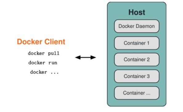 docker 的体系结构