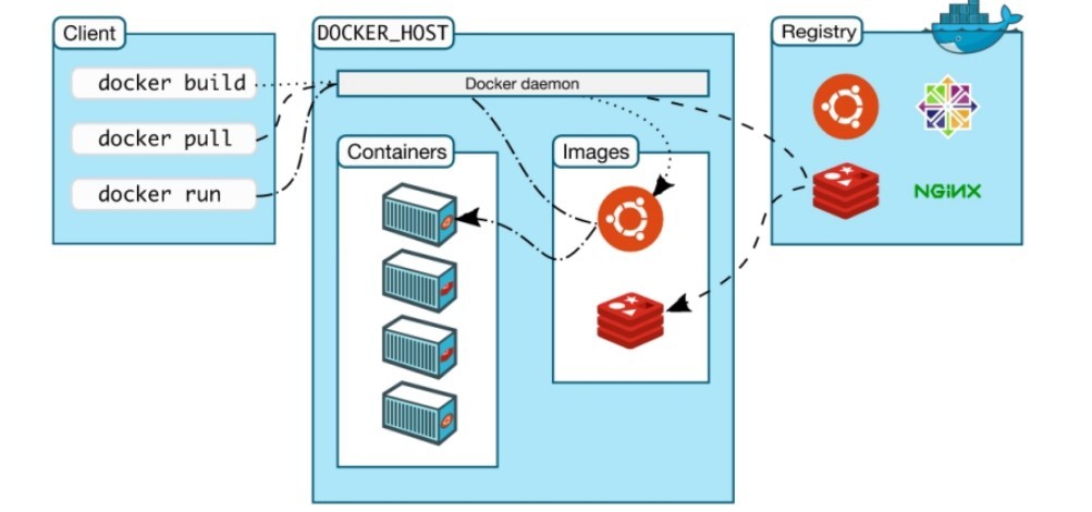 docker 的体系结构