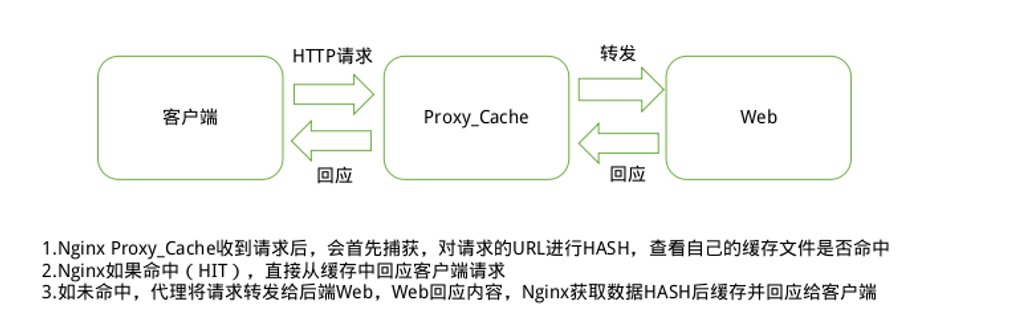 Nginx缓存加速