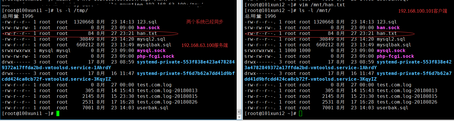 54次课（exportfs命令、NFS客户端问题、FTP介绍、使用vsftpd搭建ftp）