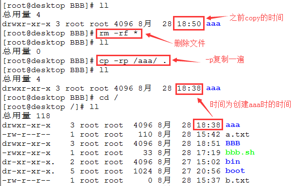 常用文件管理命令