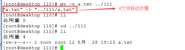 常用文件管理命令