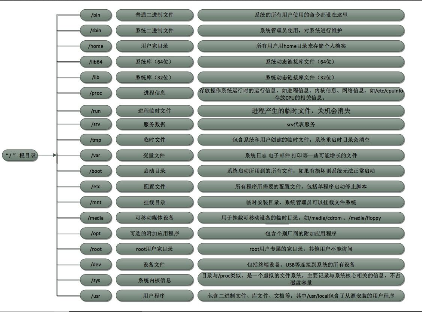 Linux -系统目录介绍