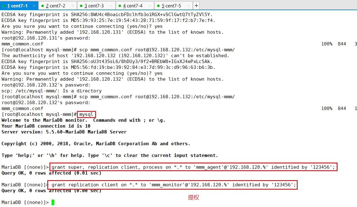 MySQLmmm群集