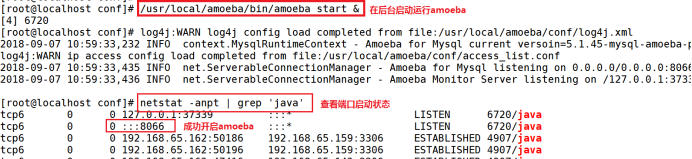 搭建 MySQL 读写分离