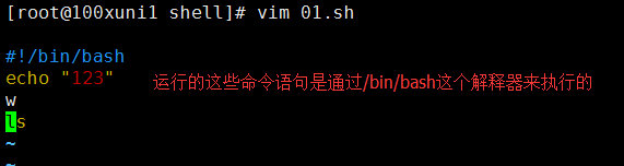 shell脚本介绍、shell脚本结构和执行、date命令用法、shell脚本中的变量