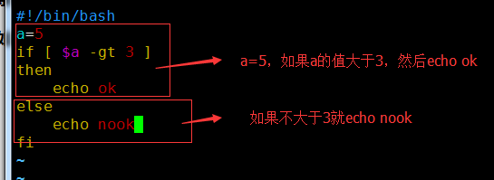 shell脚本中的逻辑判断、文件目录属性判断、 if特殊用法、case判断