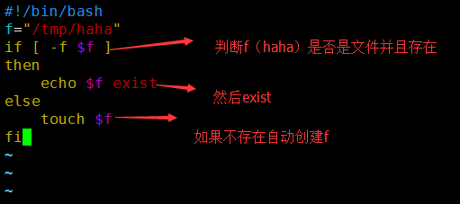 shell脚本中的逻辑判断、文件目录属性判断、 if特殊用法、case判断