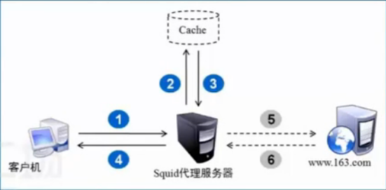 企业应用——构建Squid服务的传统代理和透明代理