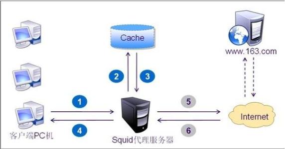 Squid反向代理