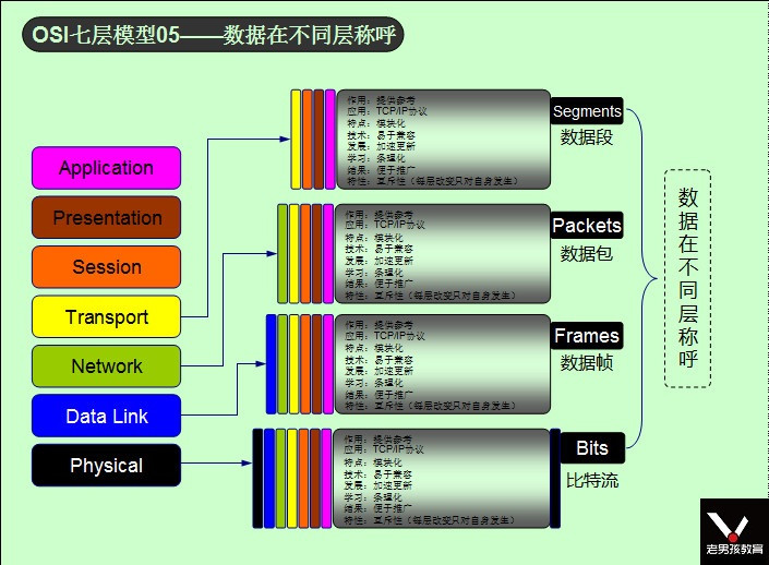 OSI七层模型05——数据在不同层称呼