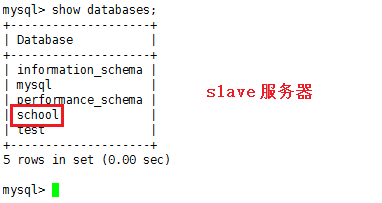 部署社交网站全过程（Nginx+PHP+Mysql+MFS+SVN）