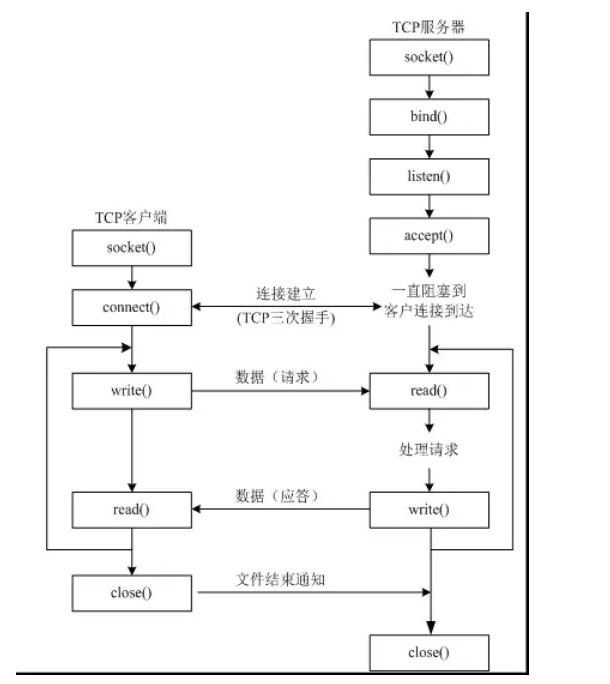 TCP协议