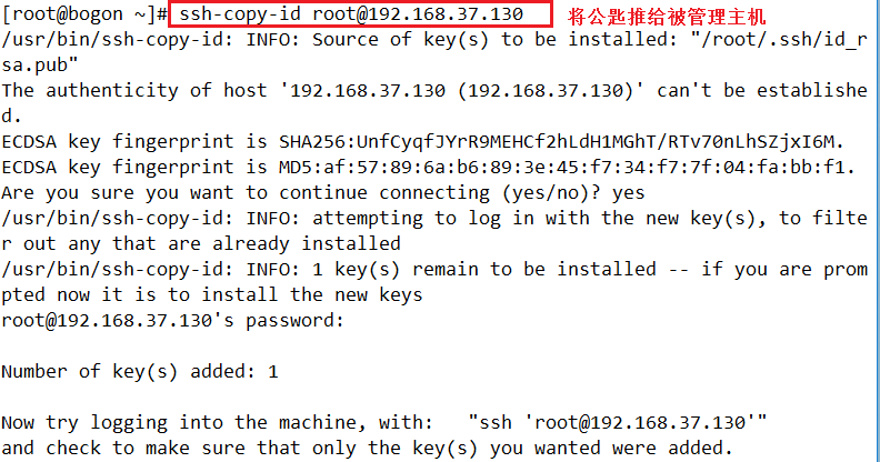 Ansible自动化运维安装