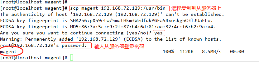 领会Memcached高可用群集（Memcached主主复制+Keepalived）