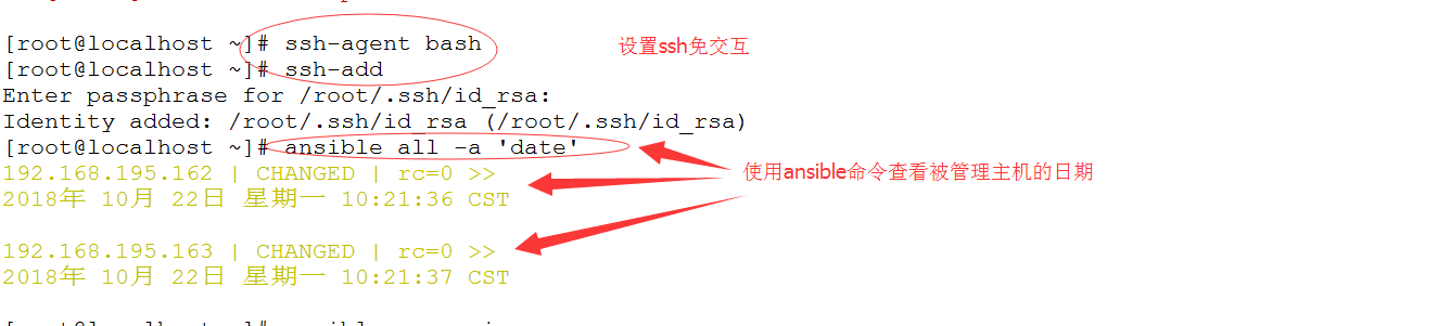 自动化运维之Ansible安装及基本模块应用