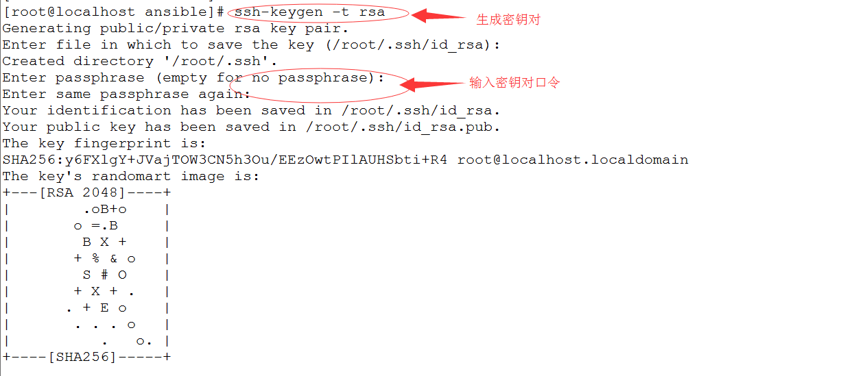 自动化运维之Ansible安装及基本模块应用