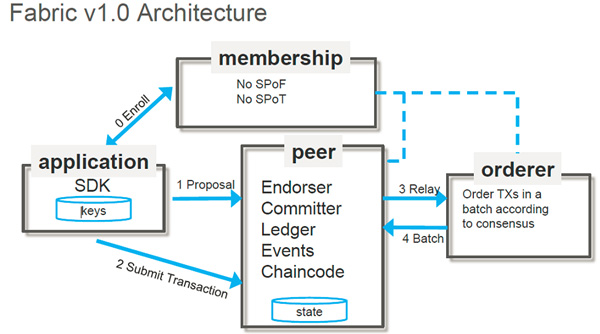 HyperLeger Fabric开发（三）——HyperLeger Fabric架构