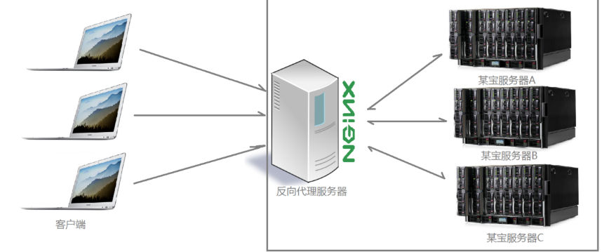 nginx 基础