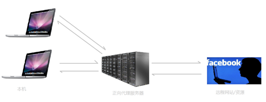 nginx 基础