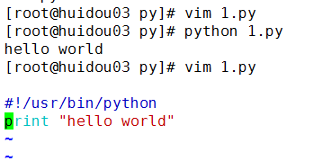 python 入门