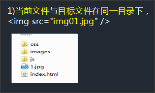 初识HTML