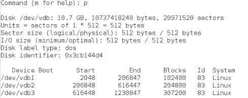 linux学习日记之磁盘的管理