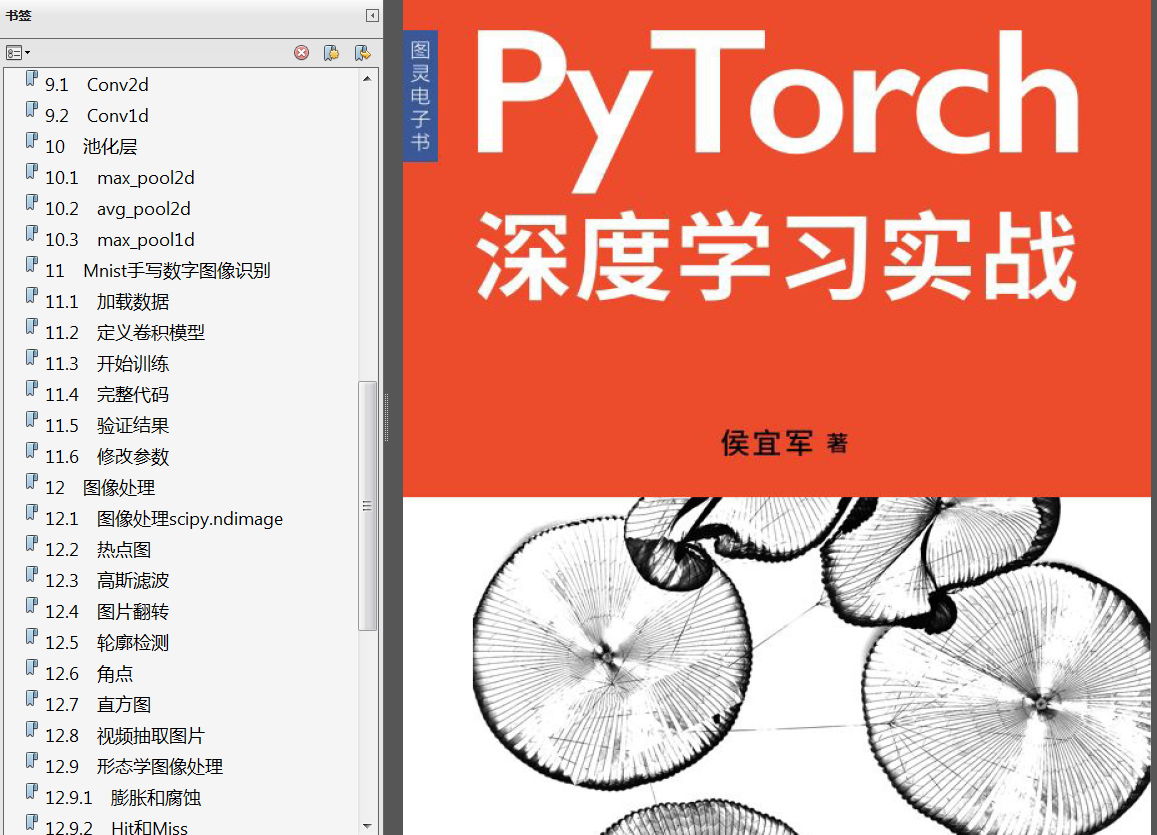 分享《深度学习之Pytorch（廖星宇著）》+《PyTorch深度学习实战（侯宜军 著）》+源代码