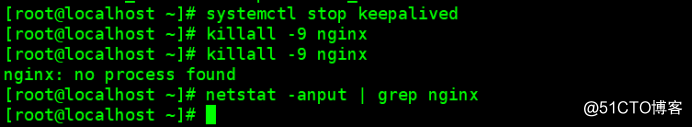 群集架構篇——nginx反向代理+keepalived雙機熱備+tomcat服務器池+後端數據庫