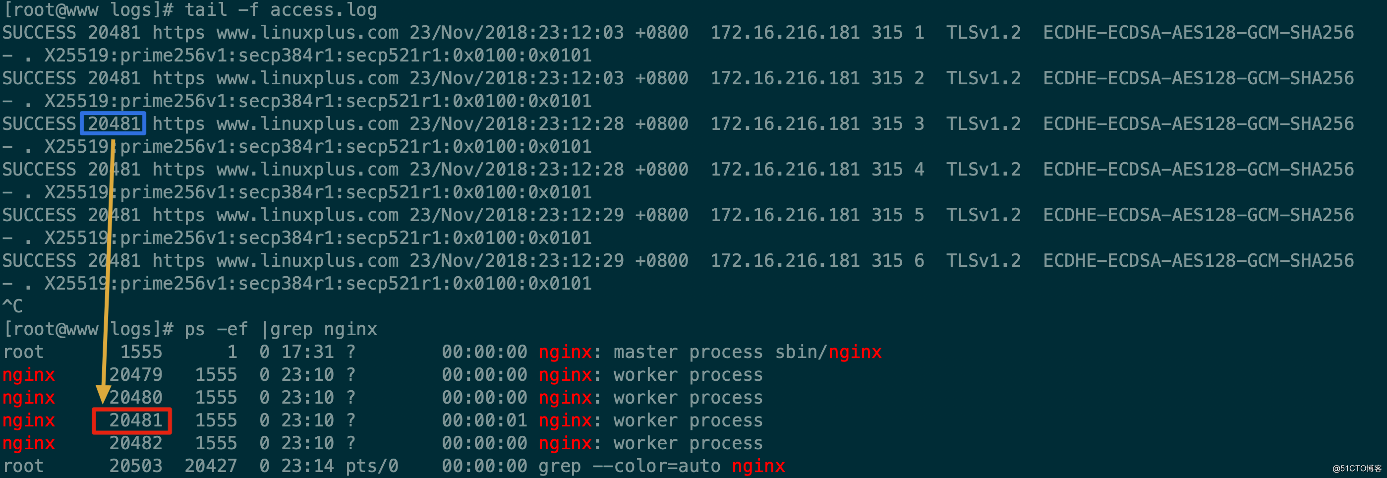 SSL/TLS深度解析--在 Nginx 上部署 TLS