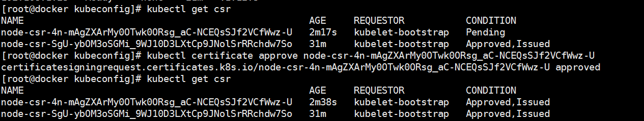 《二》Kubernetes集群部署(node)-搭建单集群v1.1