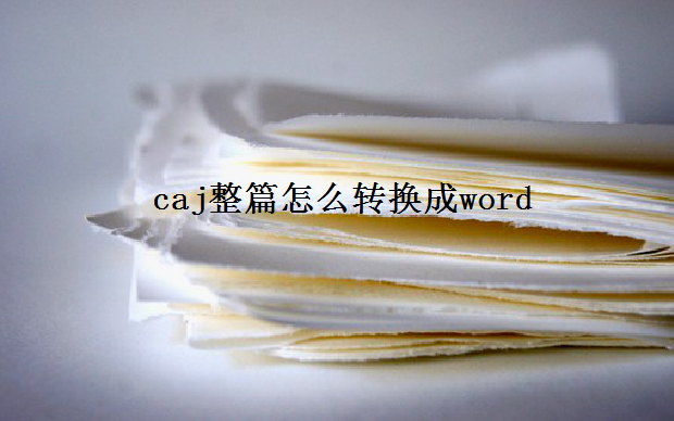 caj整篇怎么转换成word