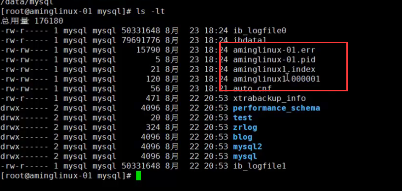 mysql -主从配置