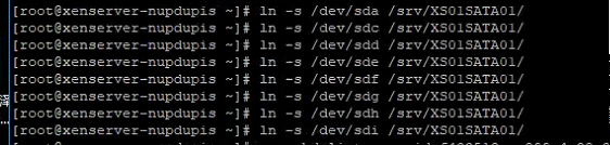 XenServer直通本地硬盘给VM使用