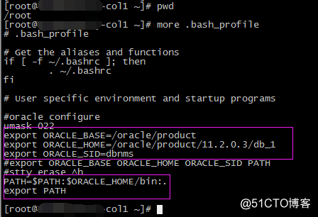 Nagios监控Oracle表空间出现Cannot determine ORACLE_HOME报错