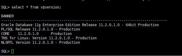 安装oracle 11g on RHEL 6.5